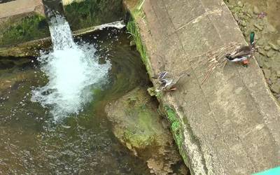 Urtsuaran errekak Idiazabalen hartzen duen zatian kokatutako presak botatzeko lanak hasi dira