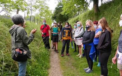 Mendiko landareak jateko, Bide Berde eguna aurten ere