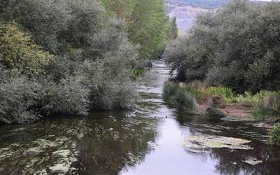 Iruña Okako altxor naturala ezagutzeko gida