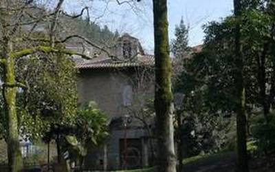 Santa Ana parkea hainbat egunetan itxiko dute zuhaitzak kimatzeko