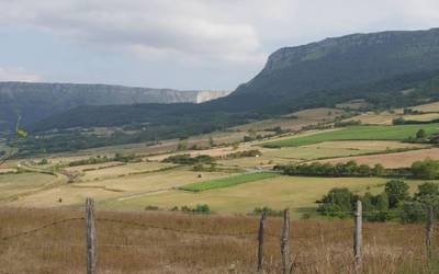 Urduñatik Tertanga eta Artomañara, "Arrastariari itzulia"