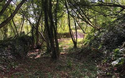 Naturan Jolasteko Taldea ipini dute martxan, "umeek naturarekin kontaktua izatea" ahalbidetzeko