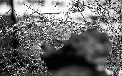 Bost saltokitan egindako lapurretaren ustezko egileak atxilotu dituzte