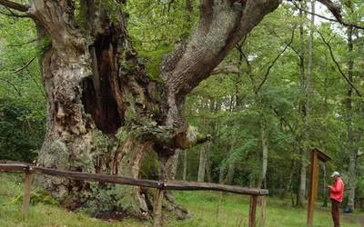 Naturguneen erabilera publikoa zaintzeko eta kudeatzeko dirulaguntzak emanen ditu Nafarroako Gobernuak