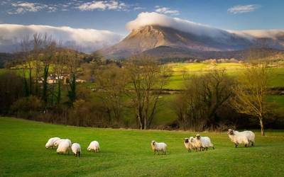 Aiaraldea, kultura eta natura