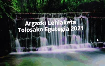 Tolosanklisk lehiaketako argazkiak bozkatzeko aukera zabaldu da