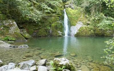 Osinberde urjauzia ezagutzeko bixita gidatuaz gozatu genuen Zaldibian