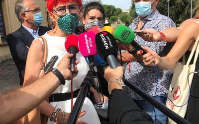 337 koronabirus kasu berri atzeman dituzte