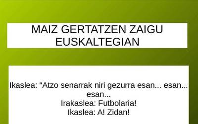 Maiz gertatzen zaigu euskaltegian