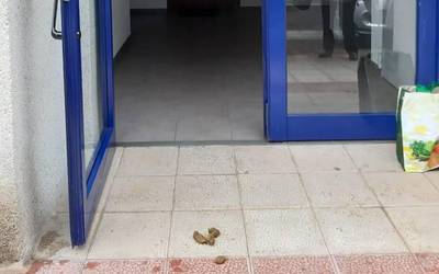 Sarri errepikatzen den irudia