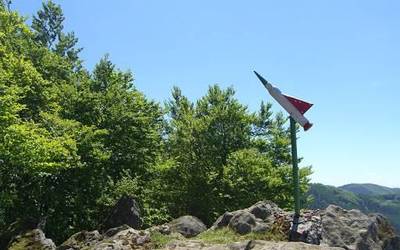 Sarek bertan behera laga du '650 tontor' ekimena