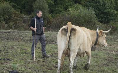 Feriak egitea bezain garrantzitsua da abeltzainen lana ezagutzea
