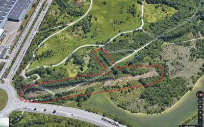 Zabalganeko basoaren 4.000 metro karratu moztu dituztela salatu du Equo Berdeak-ek