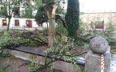 Abisu horia iragarri dute haizeagatik, zapatu gauetik domeka goizera