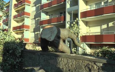 Haizeteak kalteak eragin ditu herriko hainbat puntutan