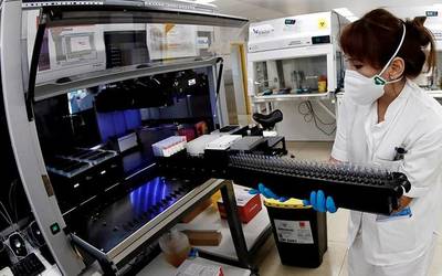 Atzotik 17 positibo gehiago atzeman dituzte: sei Elizondoko eremuan, bosna Leitzako eta Doneztebekoetan eta bat Bortzirietan