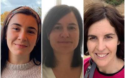 Trump-Biden lehia, Debagoienetik AEBetara joandakoen ikuspuntutik