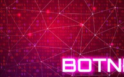 Zer arrisku dakarte botnet direlakoek?