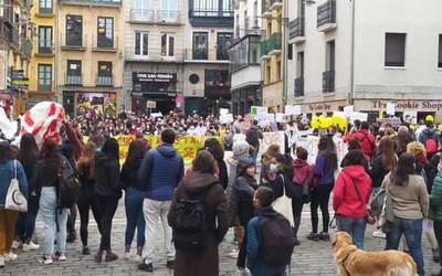 Prebentzio talde komunitarioak kenduko ditu Navarra Sumak, PSNren babesarekin