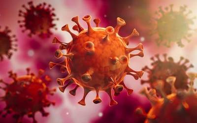 Sei positibo detektatu dituzte Orion azken orduetan, eta Aian bat