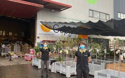 “8.000 kilo laranja ekartzen ditugu astero Valentziatik”