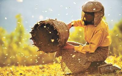'Honeyland' zine foruma ikusgai bihar, Baztartxon