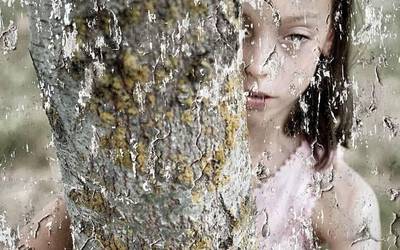 Viphoto Fest tailerreko hamar artisten erakusketa kolektiboa ikusgai