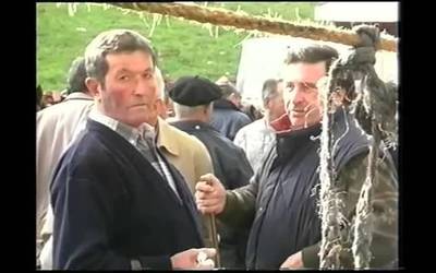 Azienda ugari eta karrikan animazioa 1999ko Doneztebeko ferietan