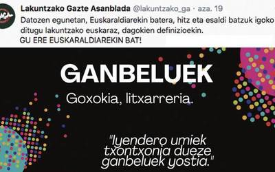 Lakuntzako Gazte Asanbladak Lakuntzako hitz eta esaldiak igo ditu sareetara
