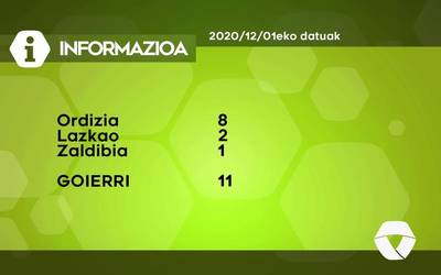 11 COVID-19 kasu aurkitu dituzte asteleartean Goierrin