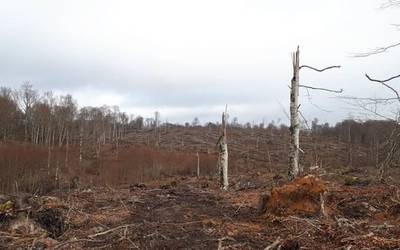 Legaireko tornadoaren eremua ikergai bihurtu dute