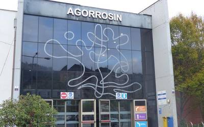 Kirol ikastaroak streamingetik, urtarriletik aurrera