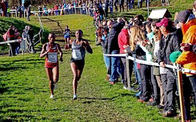 Mugertza krosa bertan behera lagatzea erabaki du Mintxeta atletismo taldeak