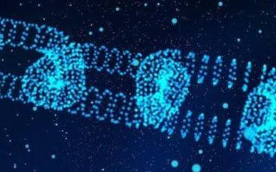 Blockchain teknologia erantziz: oinarriak, abantailak eta desabantailak