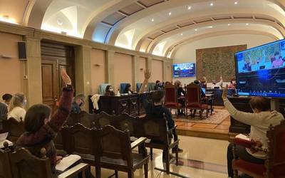 Aurrekontu sozial adostu bat, tokiko merkataritza sustatzeko hainbat emendakin, eta kontrako bi boto baino ez