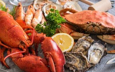 Sareren Gabonetako zozketaren sariduna da 5317 zenbakia