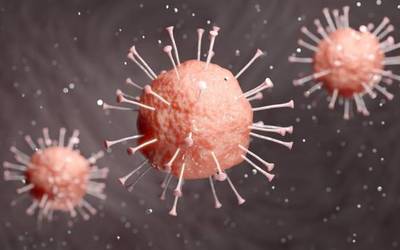 Positibo berririk ez dute atzeman herrian azken lau egunetan