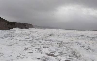 Bideoa: Ikuskizun bikaina eskaini du gaur itsasoak