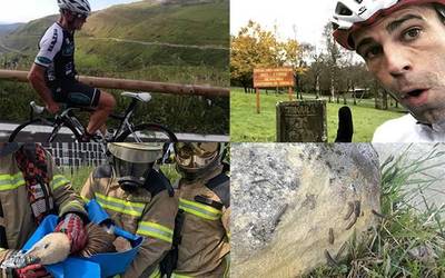 2020ko bost albisterik bitxienak