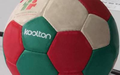 Pulpo Eskubaloiaren Zuzendaritza Talde berria, aho batez izendatua