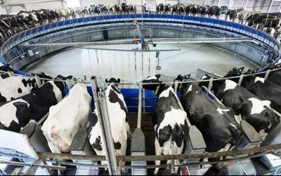 Caparrosoko behi haztegi handiari bikoizteko argi berdea eman diote