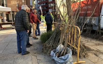 Urtarrilaren 16an egingo dute Zuhaitz Eguna