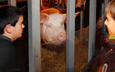 San Prudentzio egoitzan izango da aurtengo San Anton eguneko zozketa