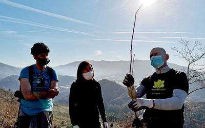 Bertako 300 zuhaitz landatu dituzte auzolanean Zirardamendin