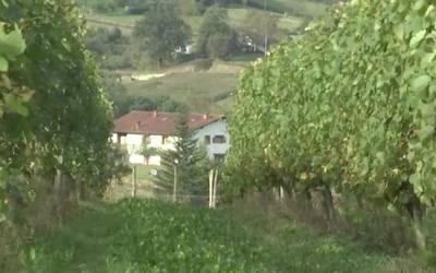 San Anton eguna gaur, eta bailarako txakolina ia prest dute