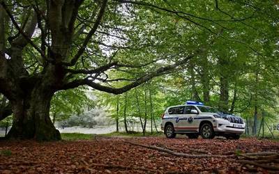 Bi hamarkada inguru lurperatuta daraman hilotz bat aurkitu dute Sarrienan