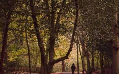 Sarean da Orozkon grabatutako "Ilargi guztiak" filmaren trailerra