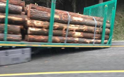 Kamioi bati atoia askatu zaio Kanpanzartik Elorriora bidean eta ilarak daude