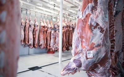 2019an baino gehiago fakturatu du 2020an Zubillaga hiltegiak
