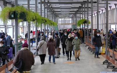 “Nolako saskia, halako bizia” hitzaldia streaming bidez  egingo da